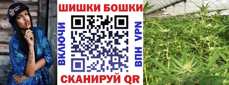Как найти наркотики Кимовск Псилоцибиновые грибы  Кокаин  МЕФ  ГАШ 